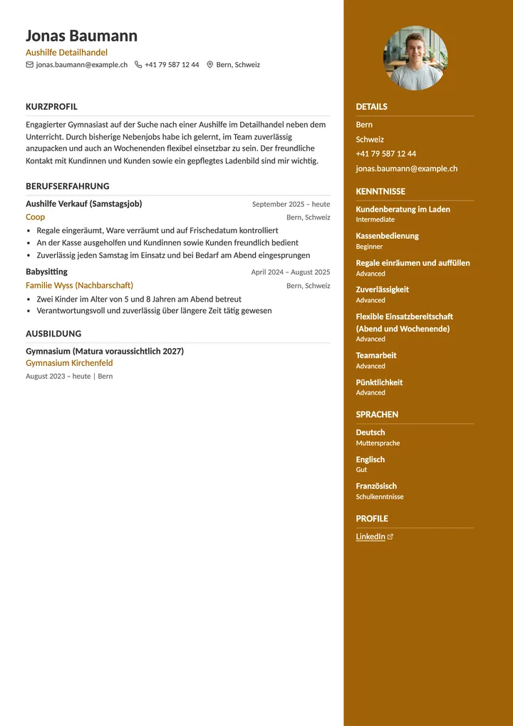 Lebenslauf Vorlage Minijob (Schweiz)